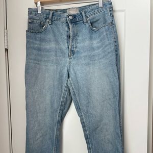 Everlane High Rise Cheeky Straight Jean